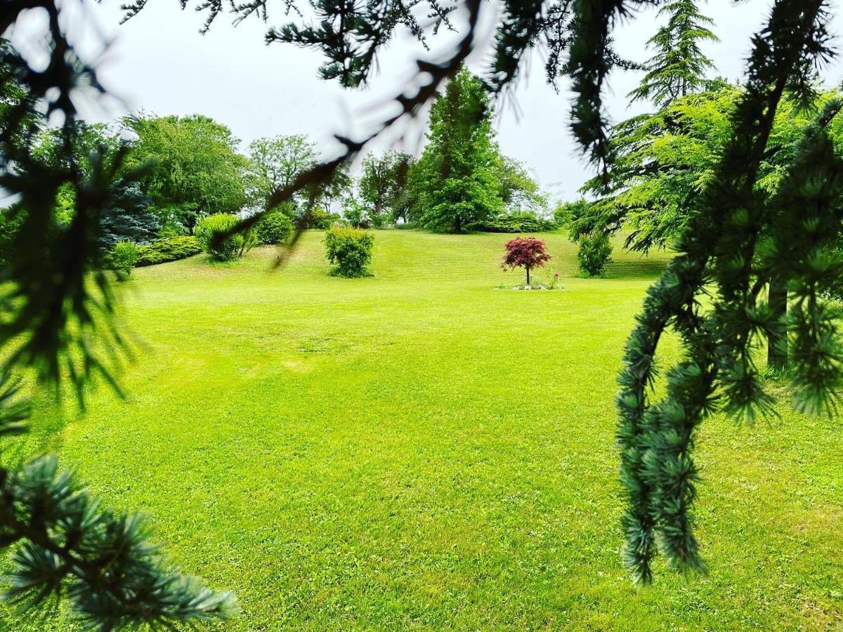 Villa Ester Tagliolo Monferrato エクステリア 写真