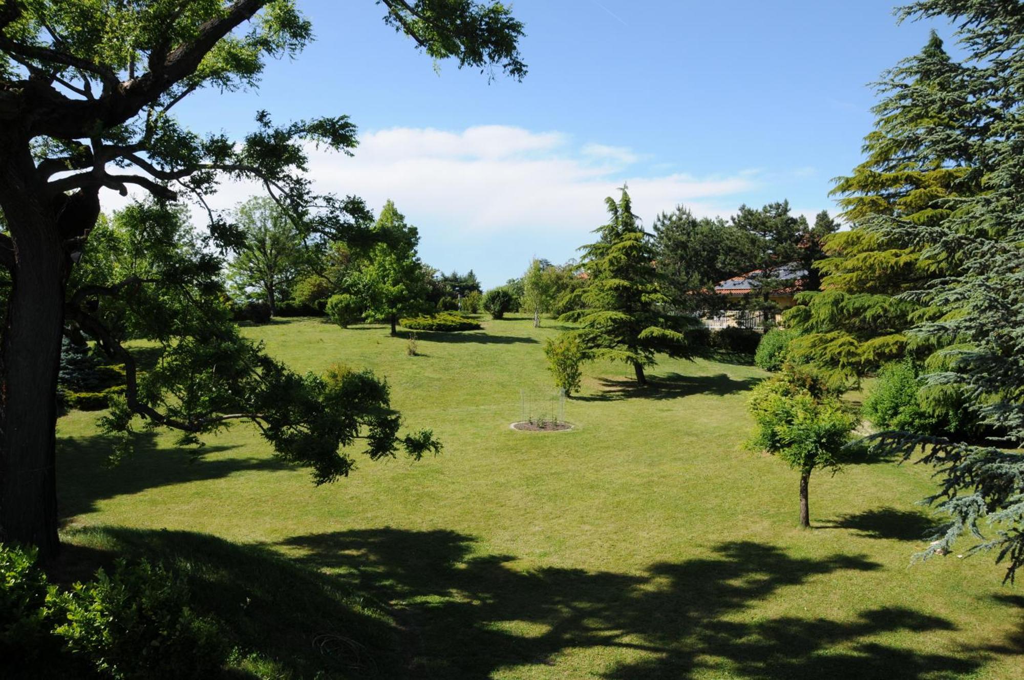 Villa Ester Tagliolo Monferrato エクステリア 写真