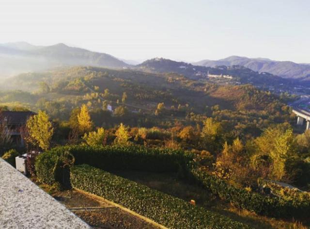 Villa Ester Tagliolo Monferrato エクステリア 写真